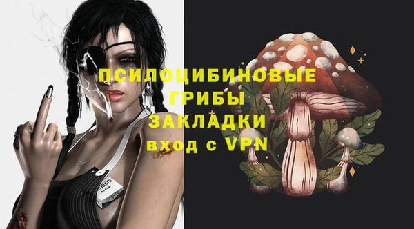 кокаин Богданович