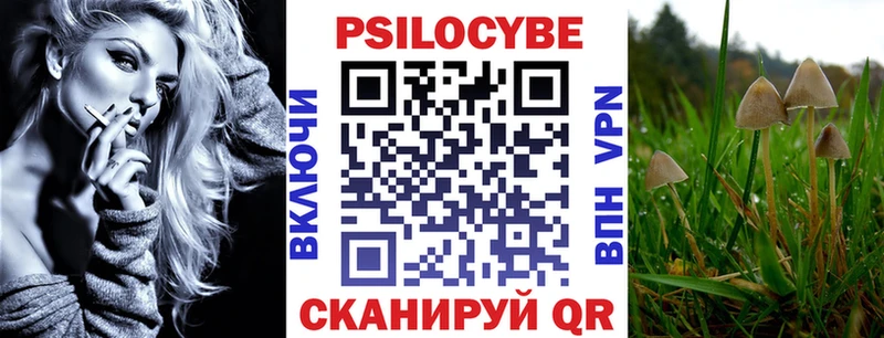 сколько стоит  Белгород  Псилоцибиновые грибы Cubensis 